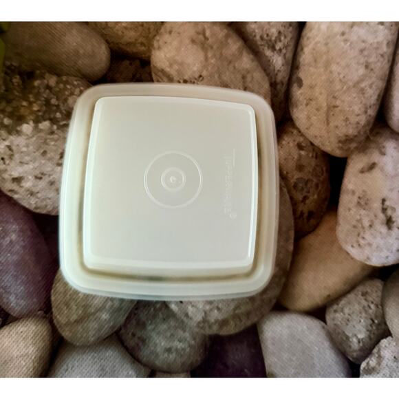 Tupperware Pickle Keeper - Picture 9 of 9